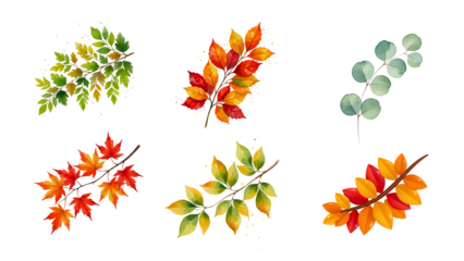 High-quality autumn leaf branch illustrations featuring vibrant colors, perfect for seasonal design, branding, nature themes, and creative projects