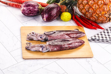 Raw fresh squid for cooking