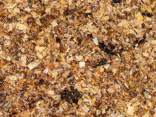 Natural Wood Sawdust Chips Textured Background