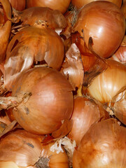 Fresh Golden Onion Harvest Full Frame Background