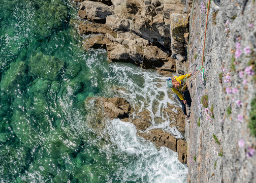 Woman rock climbing cliff above sea in Pembrokeshire Wales