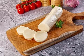 Italian dairy - mozzarella cheese with slices