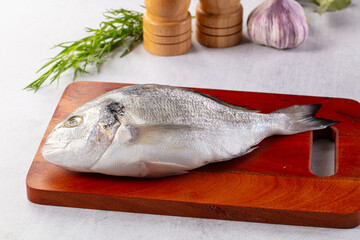 Raw fresh uncooked dorada fish