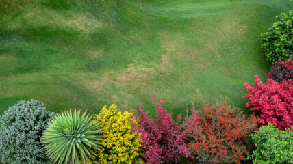 Colorful Ornamental Garden from Above with Green Lawn