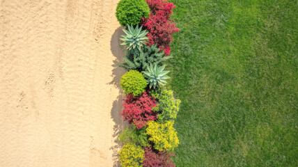 Colorful Garden Border between Grass and Sand from Above
