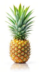Fresh pineapple slice on a plain white background with a slight sheen
