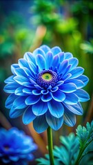 Colorful blue flower with delicate petals and intricate details