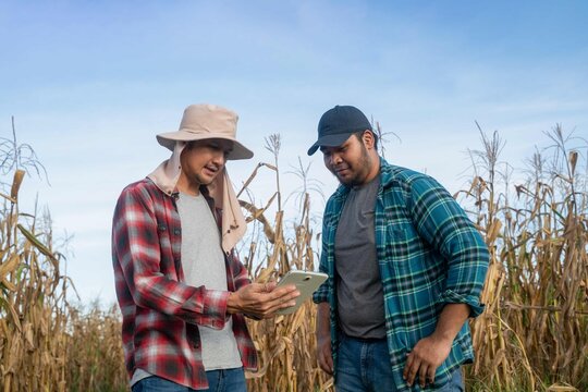 Two male farmers examine crop information on a tablet, integrating digital technology into rural farming for sustainable growth.