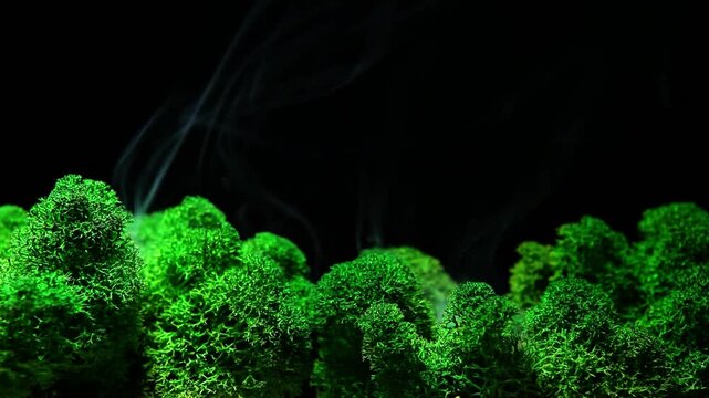 green grass on black background