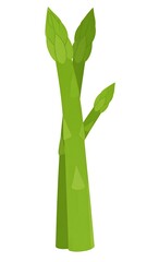 Three green asparagus spears stand tall on a white background.