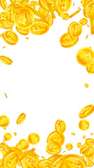 Swiss franc coins falling. Gold scattered CHF