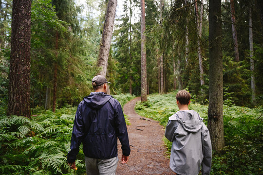 Father and son walking on a forest trail in summer rain back view