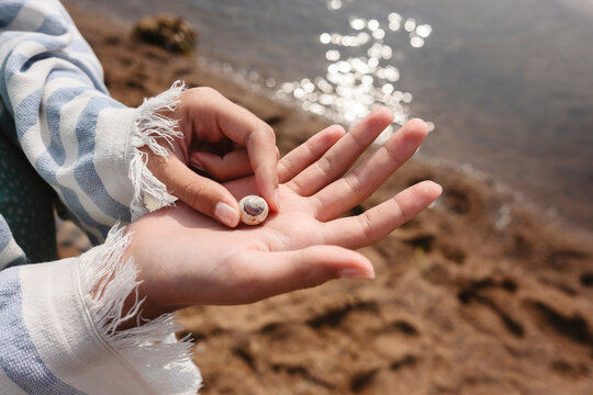Hand holding seashell by the sea with towel in summer outdoors