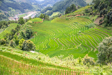 Rice fields on terraces of Mu Cang Chai, Vietnam.