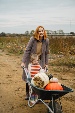 Woman and girl picking pumpkins with wheelbarrow at pumpkin patch outdoors