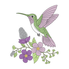 A vintage style illustration depicting hummingbird