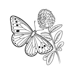 Elegant Butterfly with Floral Elements Silhouette PNG