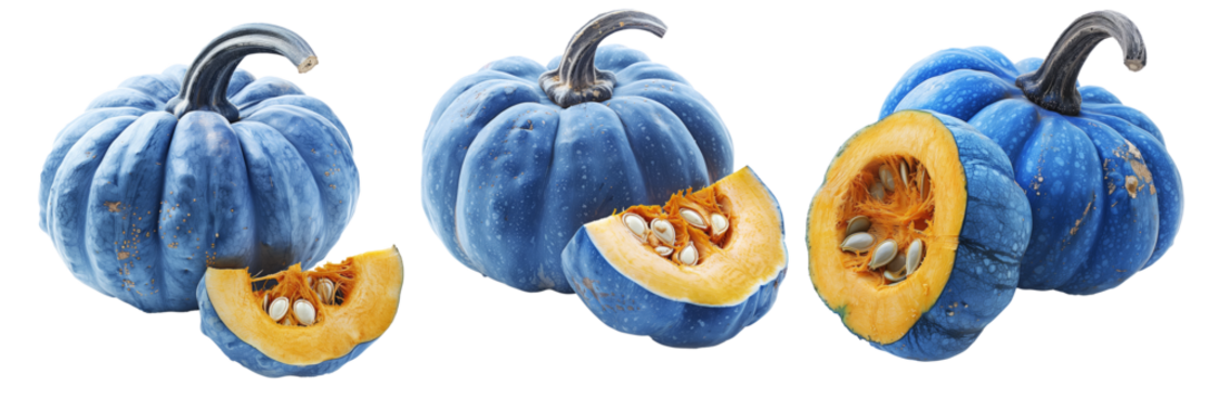 Connecticut pumpkin with green stem and cut slice isolated on white transparent background, great for autumn themes and decorations