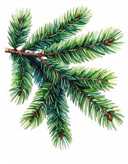 Fototapeta premium Detailed pine branch illustration, textured, vibrant