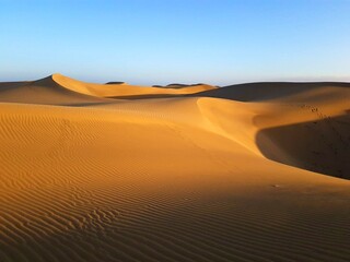 An idyllic desert landscape on Gran Canaria captured in the warm glow of the evening sun. The scene features soft, golden dunes with clearly visible sand waves created by the wind