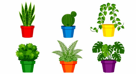 Six potted houseplants, including a snake plant, cactus, vine, shrub, fern, and monstera, displayed in colorful pots against a white background.