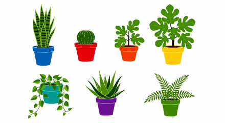 A vibrant collection of seven different illustrated houseplants in colorful pots against a white background.