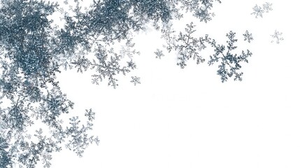 Snow crystal pattern isolated on white background