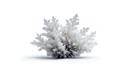 Snow micro crystal isolated on white background