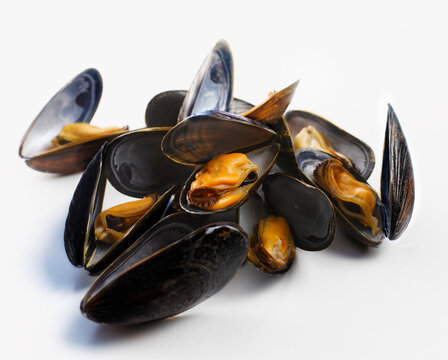 Fresh mussels in open shells on white background studio closeup