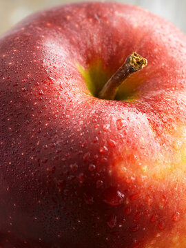 Close up of a fresh red Jonagold apple with dewdrops