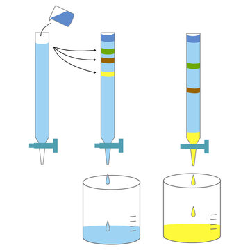 Column Chromatography Process Diagram for Separation and Purification, Chemistry Laboratory Technique