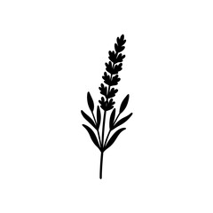 Simple lavender sprig black silhouette on transparent background