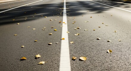 Autumnal Road Perspective: A Detailed Close-Up of Leaves Scattered Across the Pavement
