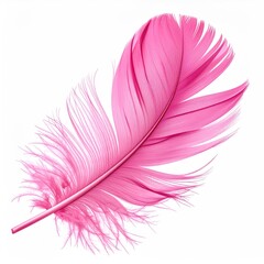 Bright pink, fluffy feather. Isolated, white background
