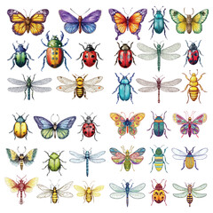 Set vector illustration of colorful insects, butterfly, beetle, ladybug, dragonfly, bee Watercolor 