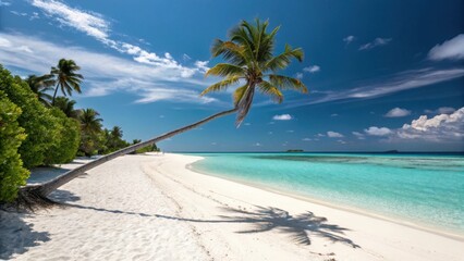 Stunning white sand beach paradise with palm trees