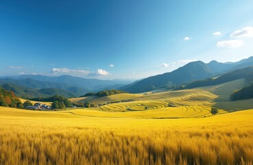 Obraz premium Golden rice terraces under blue sky with distant mountains. Rural asian village nestled among rich green trees beside vast farmland. Sun shines on ripe crops.