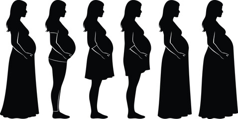 Vector silhouette of Tyrannosaurus Rex dinosaur skeleton, black bone structure illustration, ancient fossil T-Rex animal for museum science design, isolated white background graphic icon