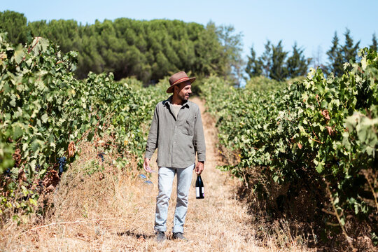 Man walking with wine bottle through vineyard in Aranda de Duero Spain