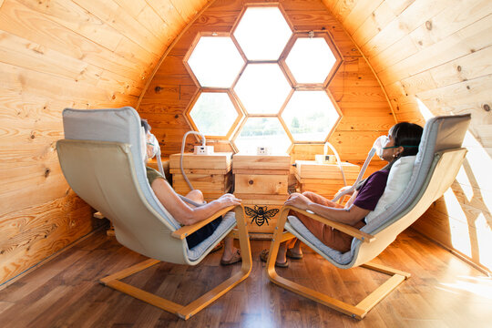Apitherapy wellness experience in wooden room with honeybee hive air