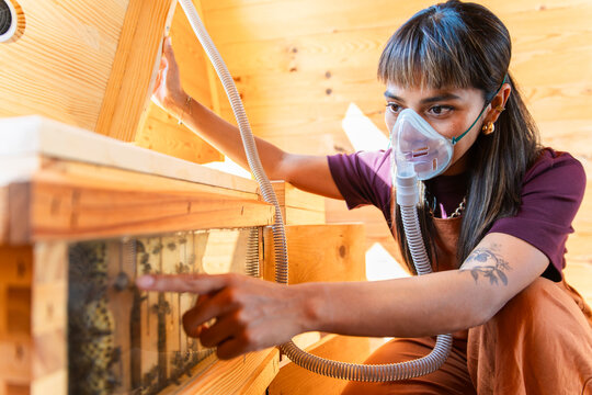 Person using breathing mask for bee air therapy indoors with beehive