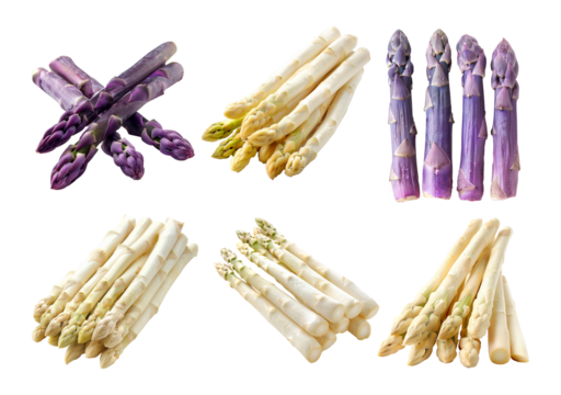 Set of Fresh green and purple asparagus spears isolated on a white background