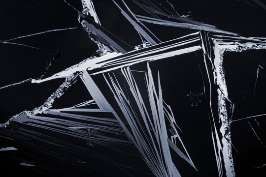 Intricate microscopic patterns of urea microcrystals