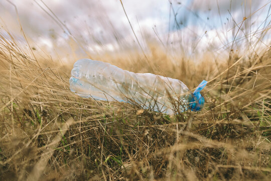 Plastic bottle littering grass highlighting environmental pollution