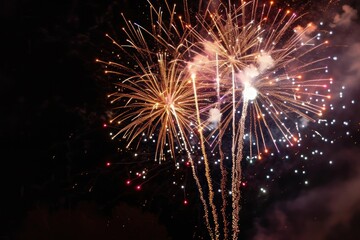 Obraz premium Fireworks on black sky outdoors night illuminated.