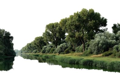 Serene river surrounded by lush green trees and vegetation