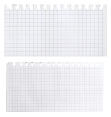 group of blank grid lined paper with ring holes isolated on white