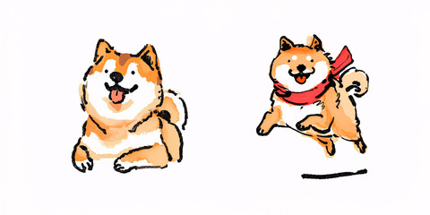 Obraz premium 柴犬