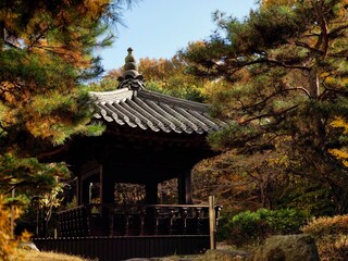 가을 숲속의 팔각정