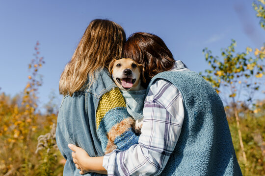 Couple hugging Jack Russell Terrier on autumn walk in nature